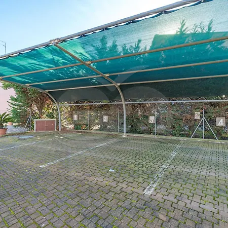 Rosa Campo Mare - Goelba *